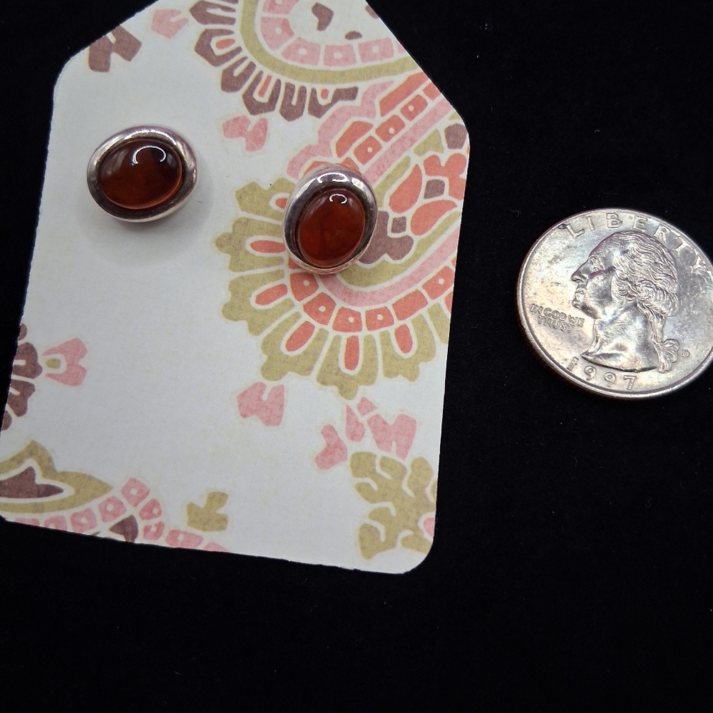 Brown Stone Stud Earrings